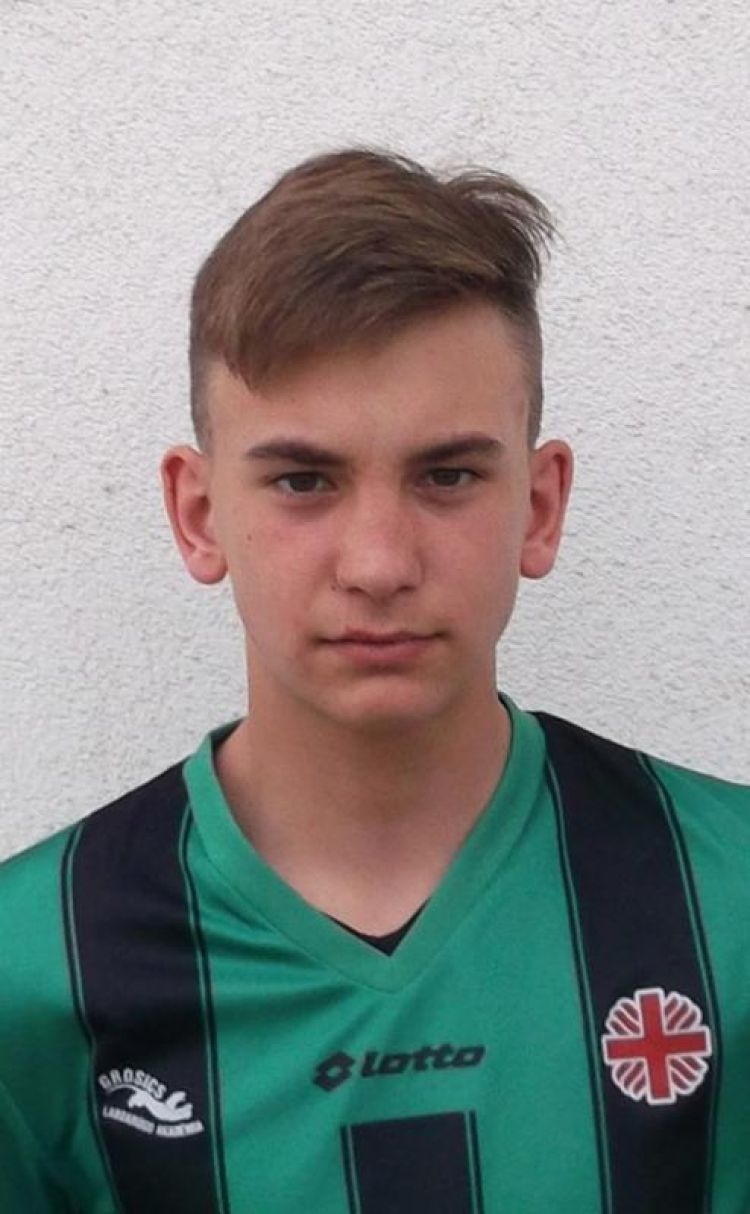 vasiljevic-nikola-744517.jpg